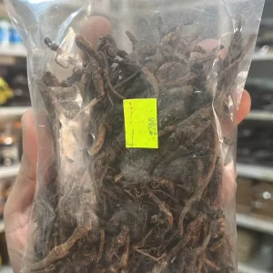 kudki-कुड्की