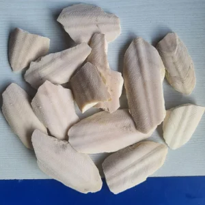 Sepia-समुन्‍द्र फिज