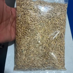 Barley-जौ