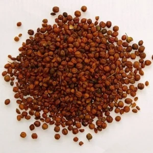 Sea buckthron seeds