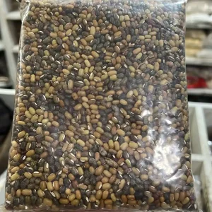 Masang Daal-मस्याङ् दाल