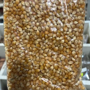 Popcorn-मुरली मकै