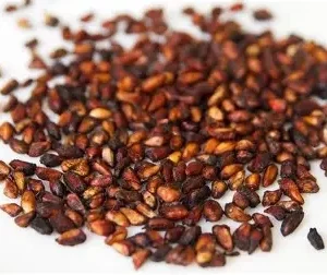 Pomoganates seeds-अनार दाना